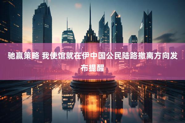驰赢策略 我使馆就在伊中国公民陆路撤离方向发布提醒