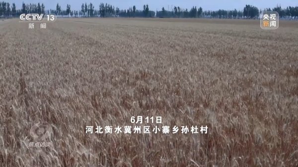 源顺网 焦点访谈丨农机装上“智慧大脑”、无人机变身照明灯&#32;科技助力“麦”向丰收