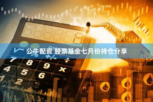 公牛配资 股票基金七月份持仓分享