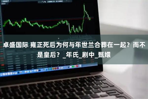 卓盛国际 雍正死后为何与年世兰合葬在一起？而不是皇后？_年氏_剧中_甄嬛