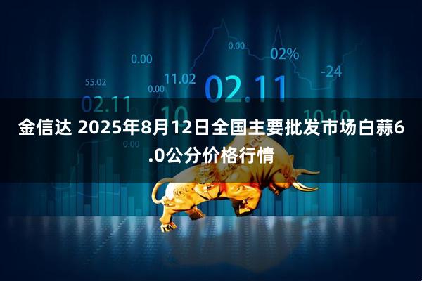 金信达 2025年8月12日全国主要批发市场白蒜6.0公分价格行情